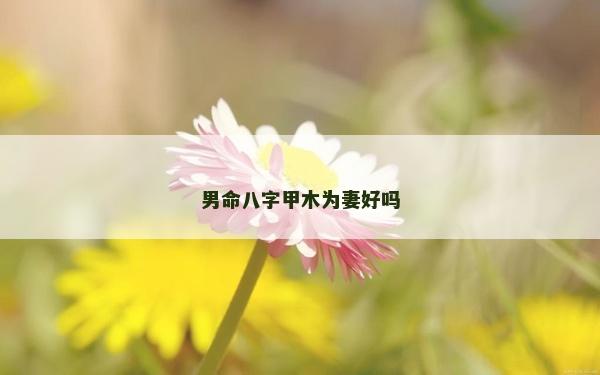 男命八字甲木為妻好嗎