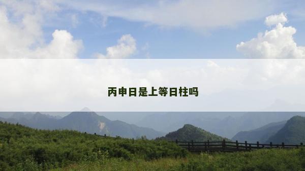 丙申日是上等日柱嗎