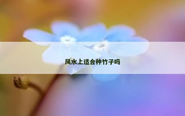 風水上適合種竹子嗎