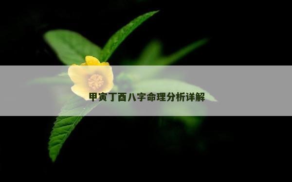 甲寅丁酉八字命理分析詳解