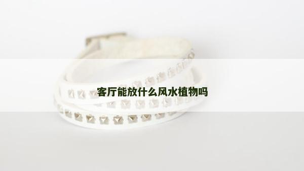 客廳能放什么風(fēng)水植物嗎