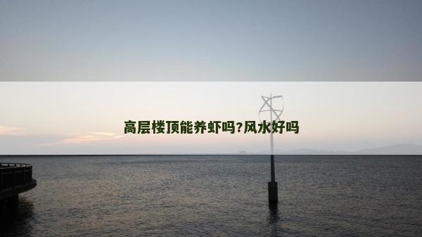高層樓頂能養蝦嗎?風水好嗎