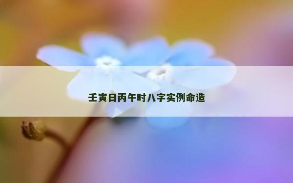 壬寅日丙午時八字實例命造