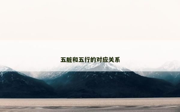 五臟和五行的對應關系