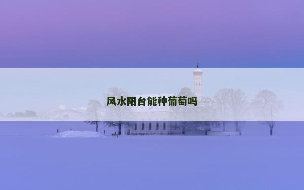 風水陽臺能種葡萄嗎