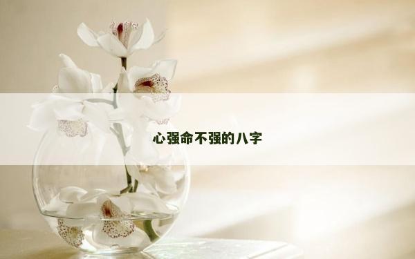 心強命不強的八字
