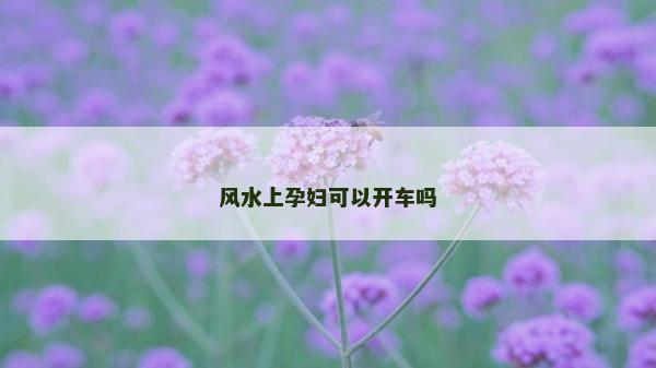 風(fēng)水上孕婦可以開車嗎