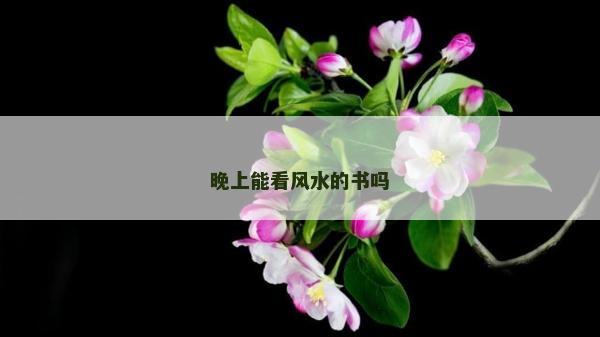 晚上能看風水的書嗎