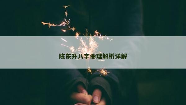 陳東升八字命理解析詳解