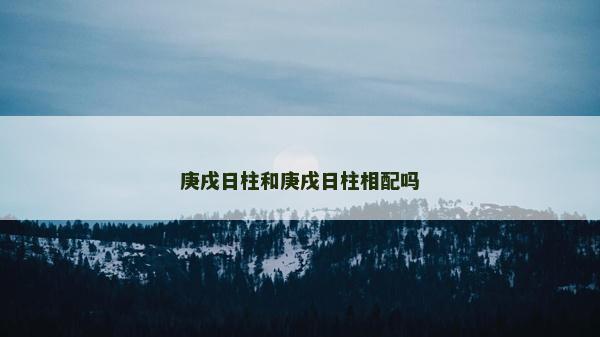 庚戌日柱和庚戌日柱相配嗎