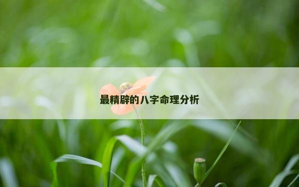 最精辟的八字命理分析