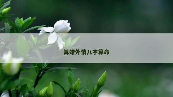 算婚外情八字箅命