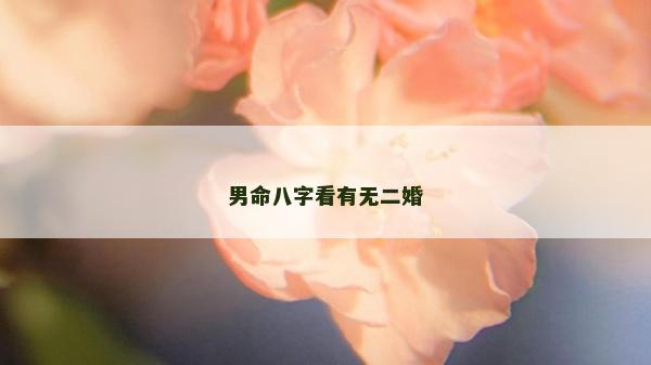 男命八字看有無二婚