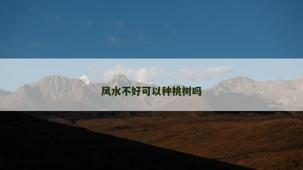 風水不好可以種桃樹嗎