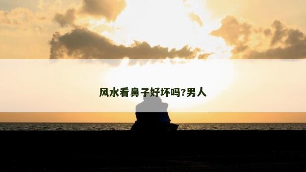 風水看鼻子好壞嗎?男人
