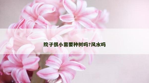 院子很小需要種樹嗎?風水嗎