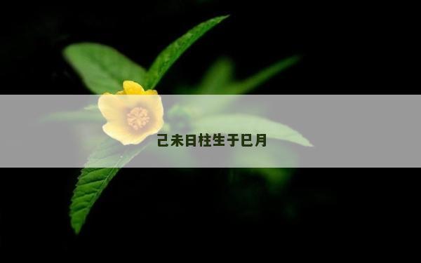 己未日柱生于巳月