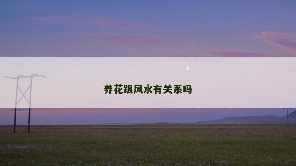 養花跟風水有關系嗎