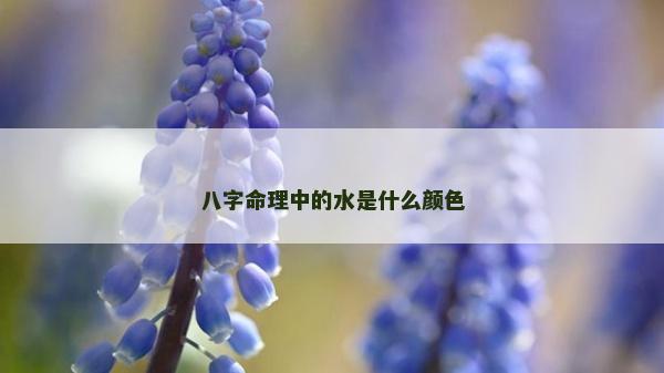 八字命理中的水是什么顏色