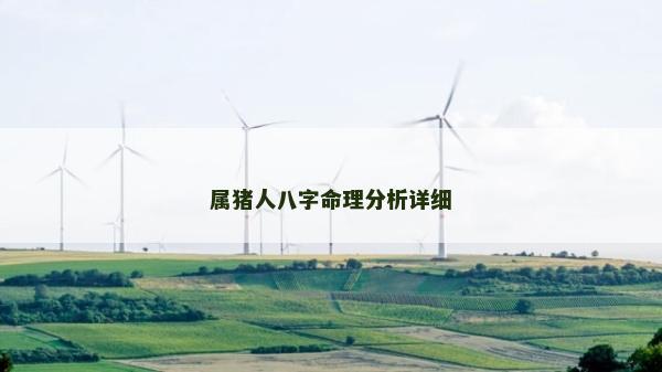 屬豬人八字命理分析詳細(xì)