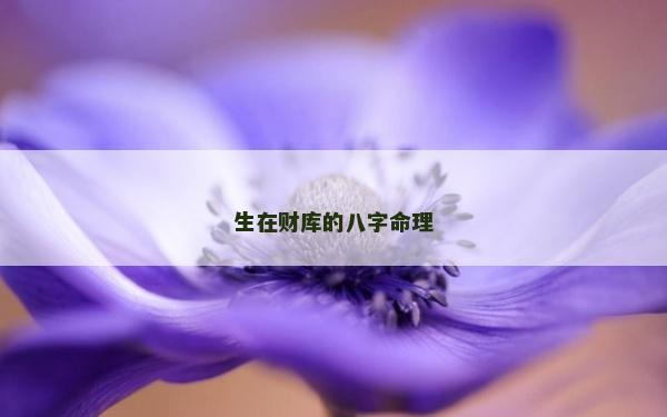 生在財(cái)庫(kù)的八字命理
