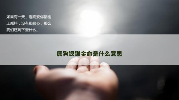 屬狗釵釧金命是什么意思
