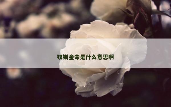 釵釧金命是什么意思啊
