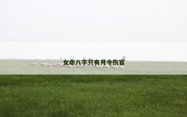 女命八字只有月令傷官