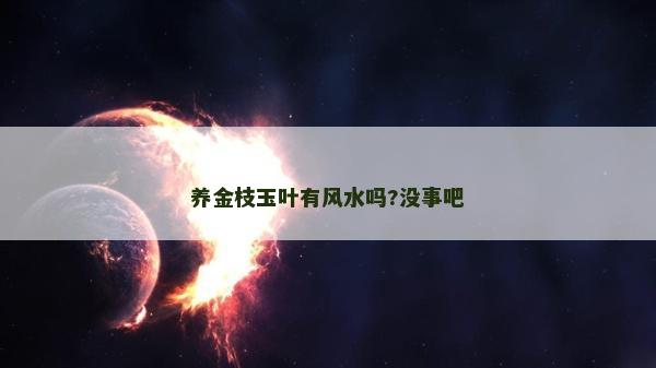 養金枝玉葉有風水嗎?沒事吧