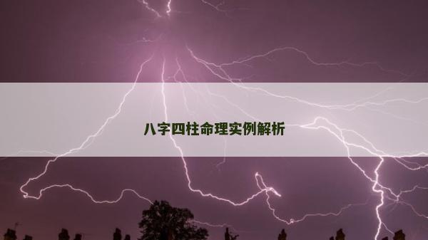 八字四柱命理實例解析