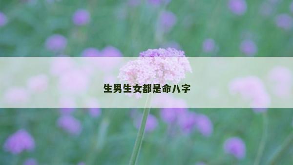 生男生女都是命八字
