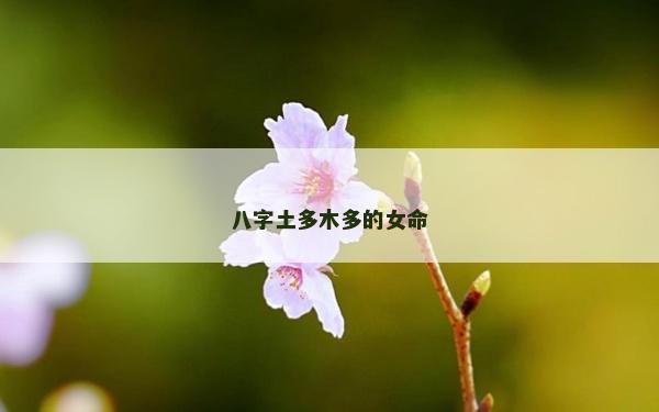 八字土多木多的女命