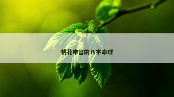 桃花帶富的八字命理