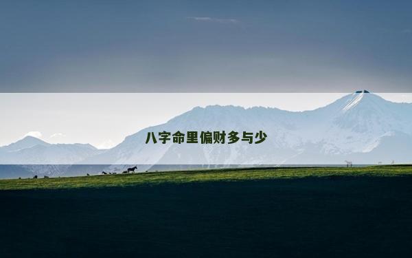 八字命里偏財多與少