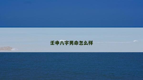 壬申八字男命怎么樣