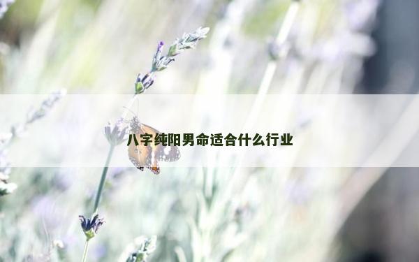 八字純陽男命適合什么行業