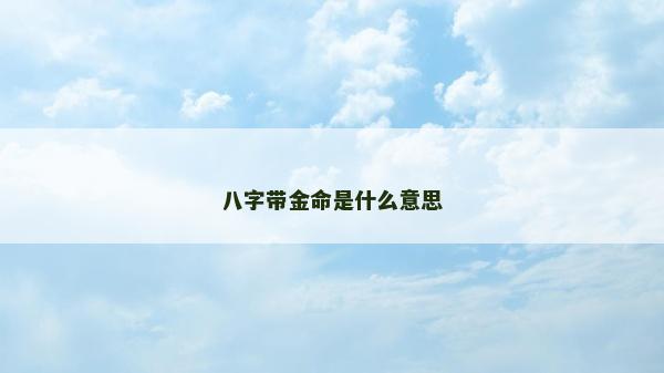 八字帶金命是什么意思