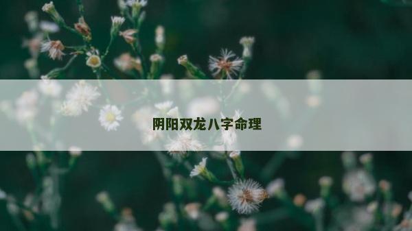 陰陽雙龍八字命理