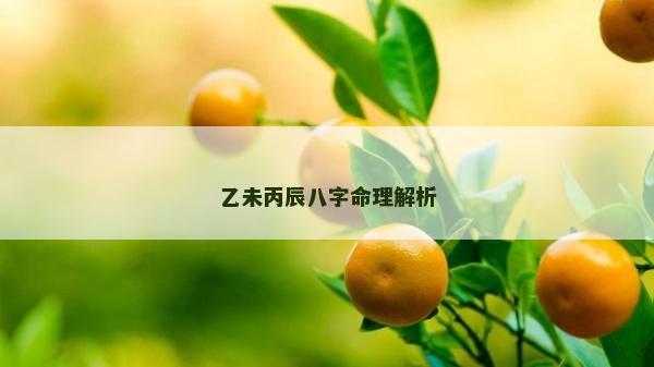 乙未丙辰八字命理解析
