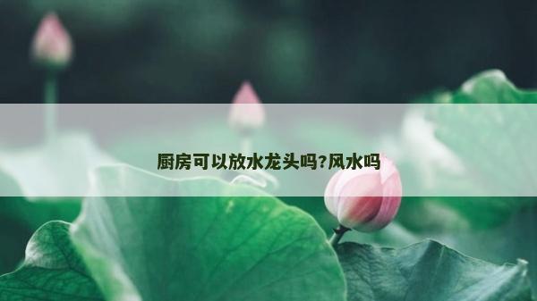 廚房可以放水龍頭嗎?風(fēng)水嗎