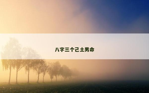 八字三個己土男命
