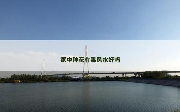 家中種花有毒風水好嗎