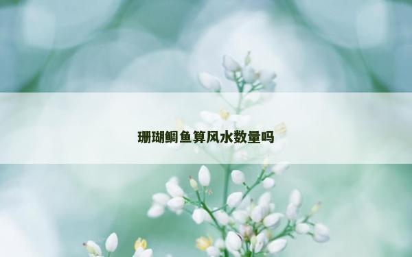珊瑚鯛魚算風水數量嗎