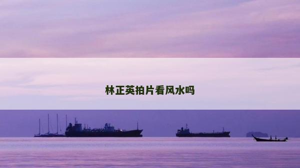 林正英拍片看風(fēng)水嗎