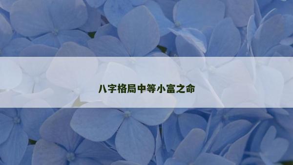 八字格局中等小富之命