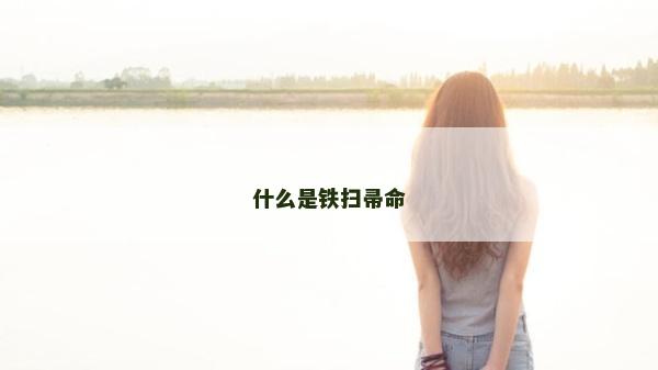 什么是鐵掃帚命