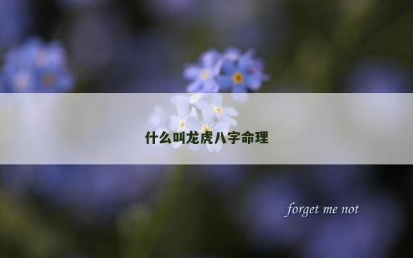 什么叫龍虎八字命理