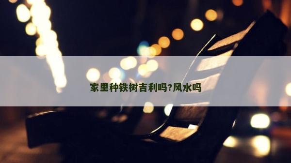 家里種鐵樹吉利嗎?風水嗎