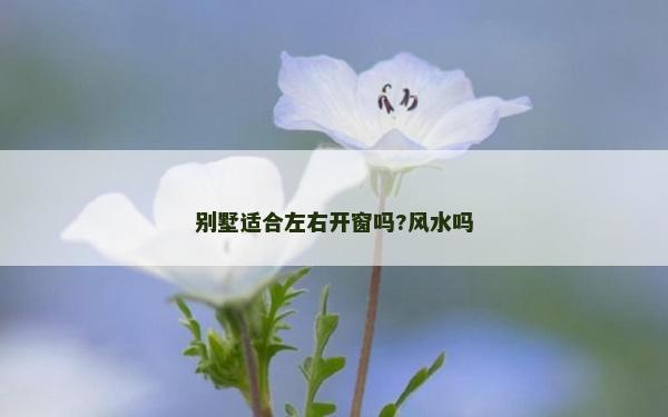 別墅適合左右開窗嗎?風水嗎
