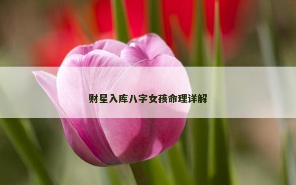 財星入庫八字女孩命理詳解